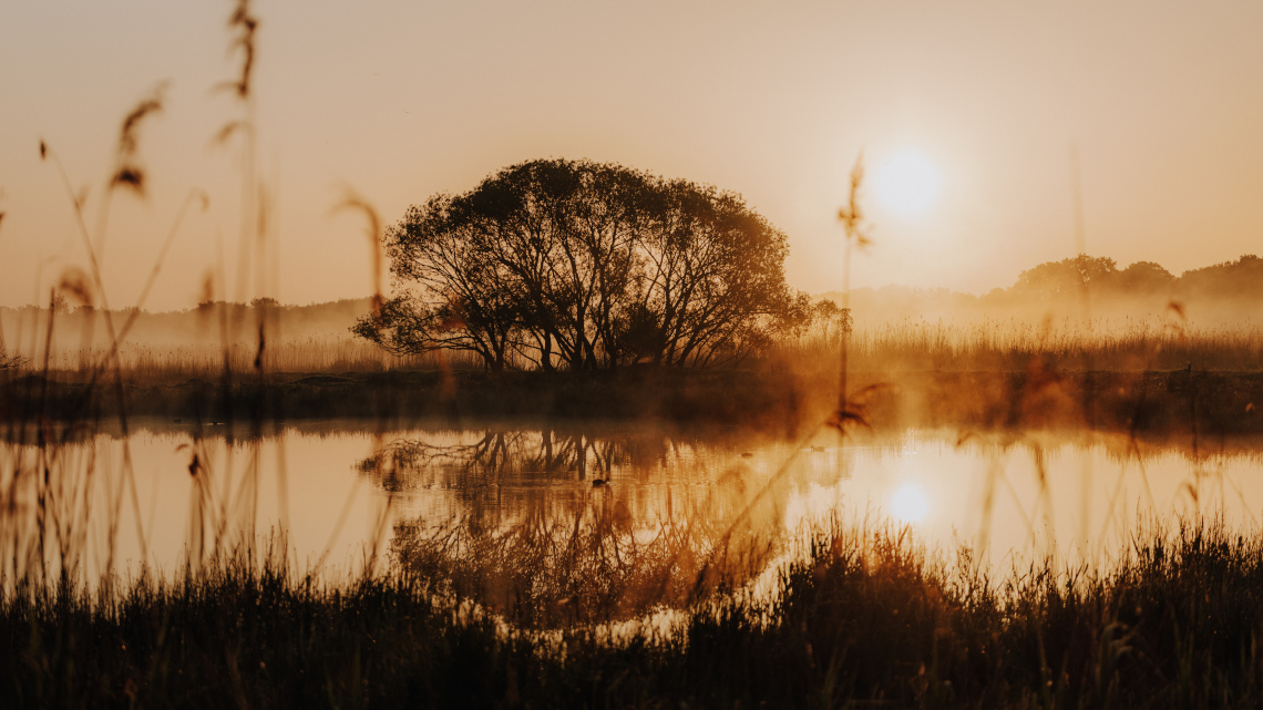 Das Münsterland kann vieles sein: Arbeitsplatz, Urlaubsregion – und vor allem ein Zuhause.